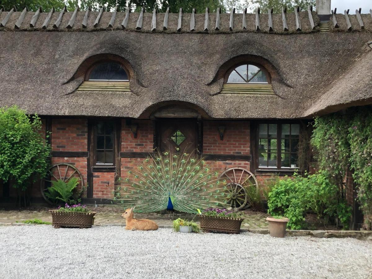 Cottage On Unique Farm Hoor Luaran gambar